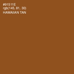 #91511E - Hawaiian Tan Color Image